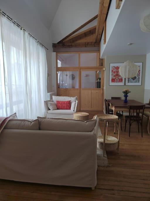 Magnifique Appartement Le Nid Des Thermes Bagnères-de-Bigorre Eksteriør bilde