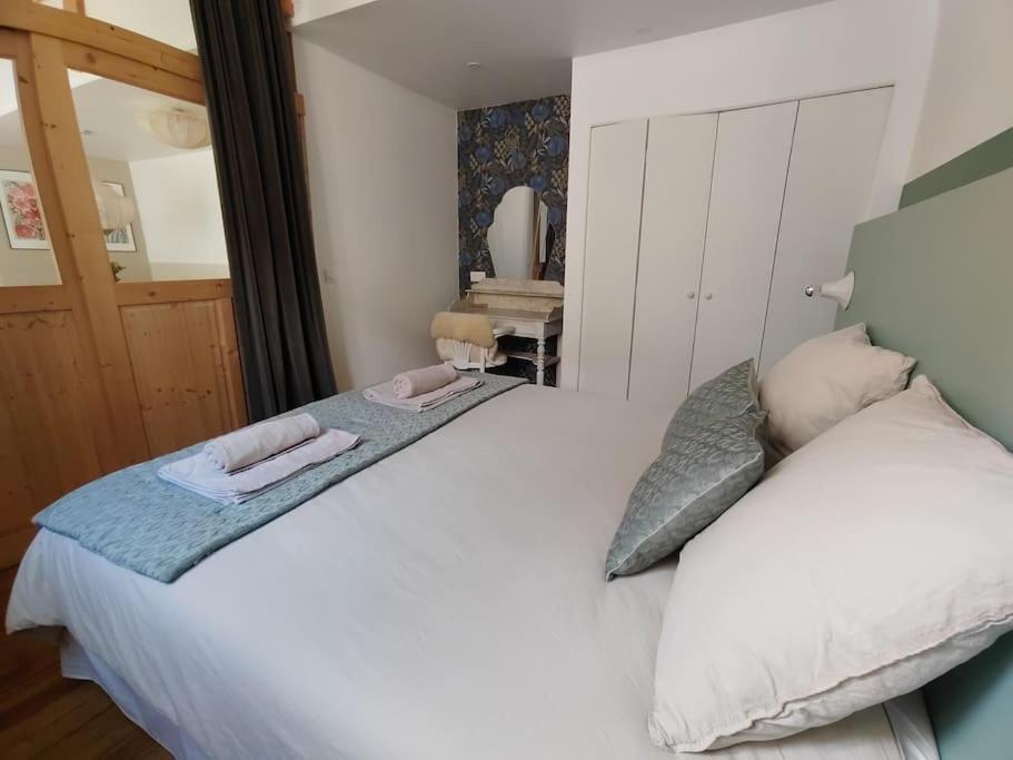 Magnifique Appartement Le Nid Des Thermes Bagnères-de-Bigorre Eksteriør bilde